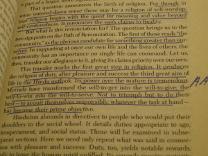 DFW's Annotations in Smith's The World's Religions
